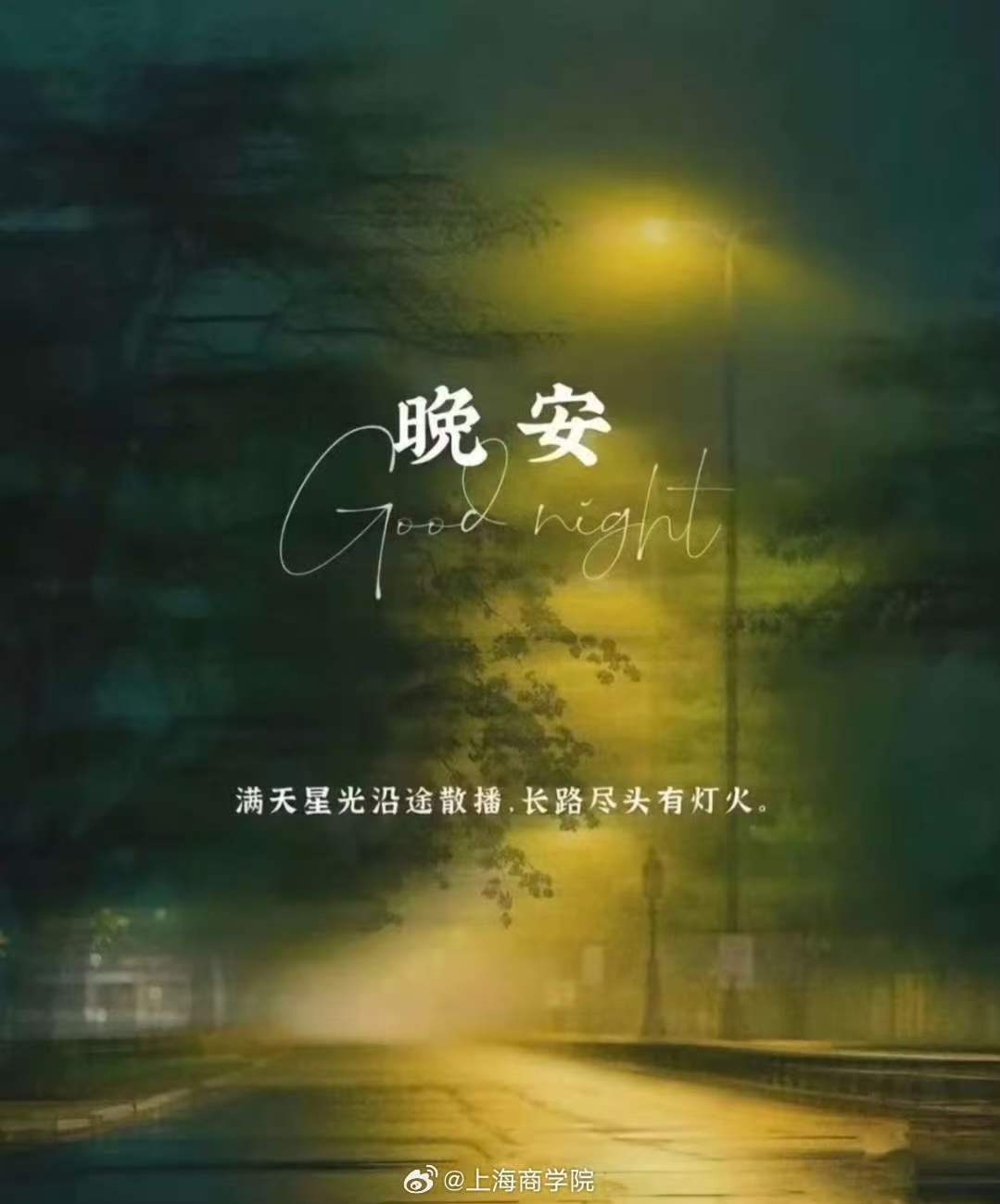 开云手机下载视野的高素质应用型商科人